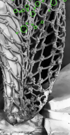 Jeff's screenshot: calf still sparse